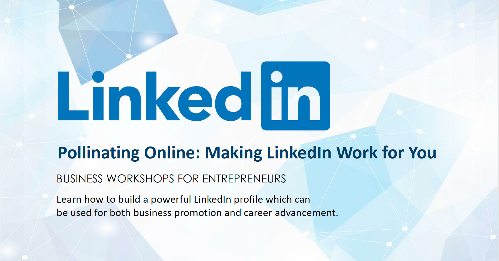 Title slide for a Spring Creative business workshop titled 'Pollinating Online: Making LinkedIn Work for You'. The text reads: 'Learn how to build a powerful LinkedIn profile which can be used for both business promotion and career advancement.' The background features a clean, light blue geometric network design.